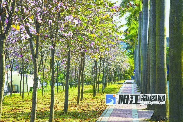 龙湖江宸府约：111-143㎡ -物业公司-自持物业-园林景